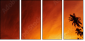 20708520