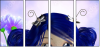22659722