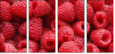 22816665