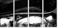 23943904