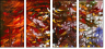 24600488