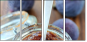 26311404