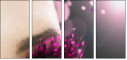 28365450