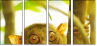 28835304