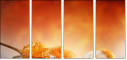 29808435