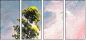 32752739