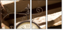 33620946