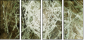 35814407