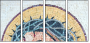 36471508