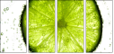 36604434