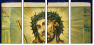 36632692