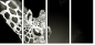 38098957