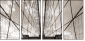 45668708