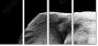 46583459