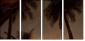 4823952