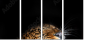48606369