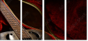 48965476
