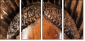 52004103