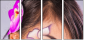 52845719