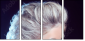 53129402