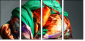 56076914