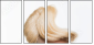 56309569