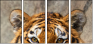 59798134