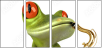 61064251