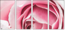 95247840