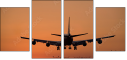 1443651