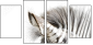 17246984