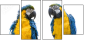 18738718