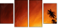 20708520