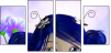 22659722