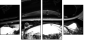 23943904