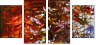 24600488