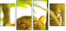 28835304