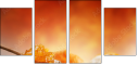 29808435