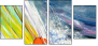 31224510
