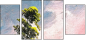32752739