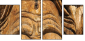 35042971