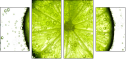36604434