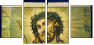36632692