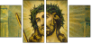 36638994