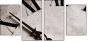 3950638