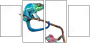 45946464