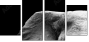 46583459