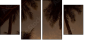 4823952