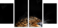 48606369