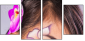 52845719